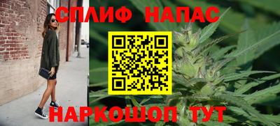бошки Славгород